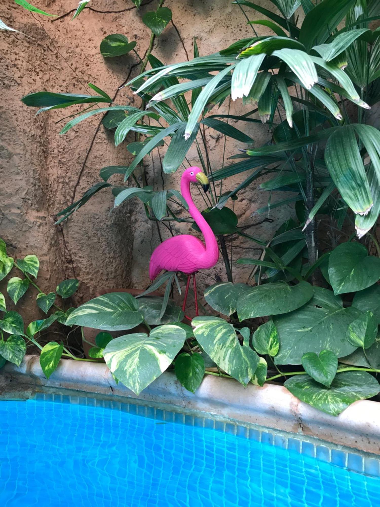 Tropical Oasis Apartment Ouakam Екстериор снимка