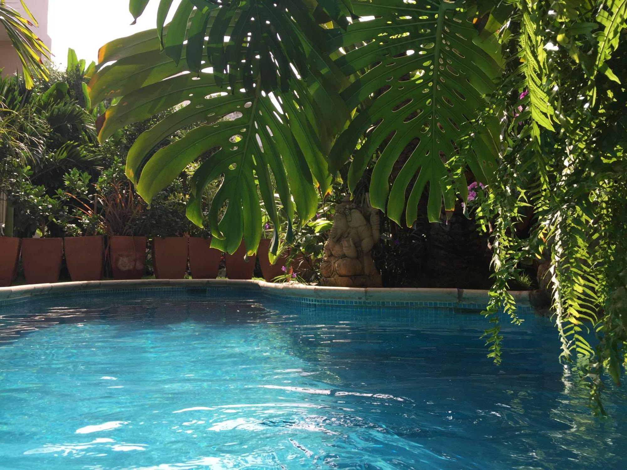 Tropical Oasis Apartment Ouakam Екстериор снимка