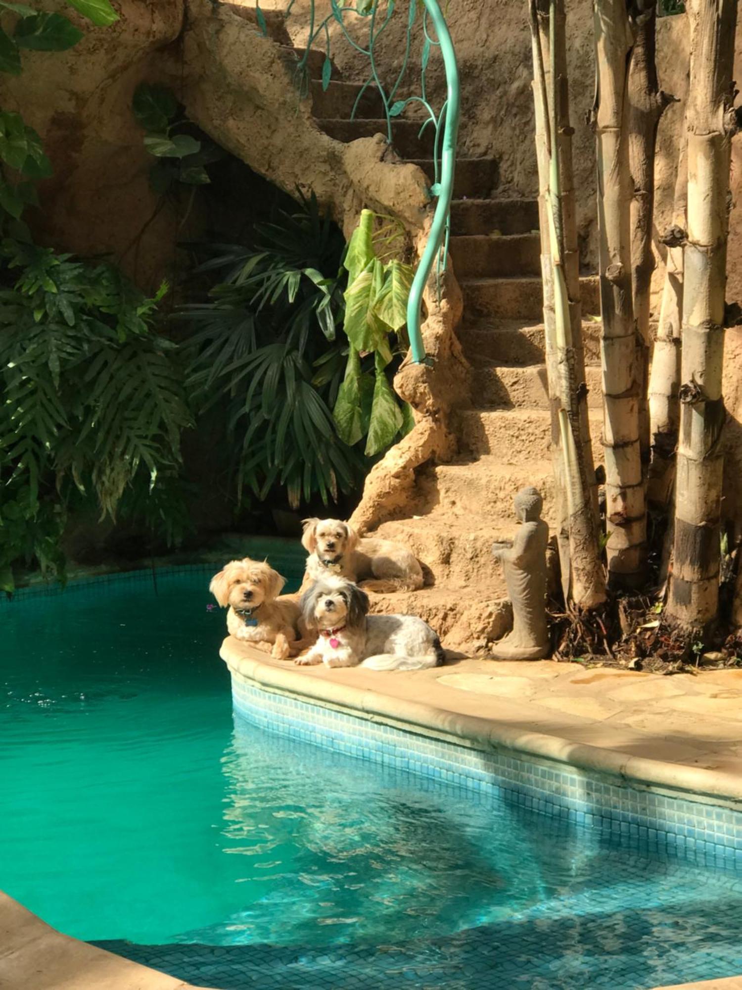 Tropical Oasis Apartment Ouakam Екстериор снимка